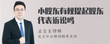 小股东有权提起股东代表诉讼吗