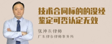 技术合同标的的没经鉴定可否认定无效