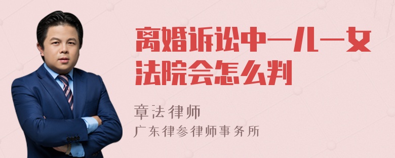 离婚诉讼中一儿一女法院会怎么判