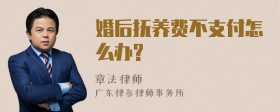 婚后抚养费不支付怎么办?