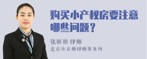 购买小产权房要注意哪些问题？