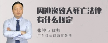 因逃逸致人死亡法律有什么规定