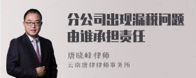 分公司出现漏税问题由谁承担责任