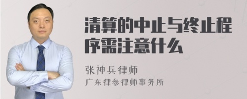 清算的中止与终止程序需注意什么