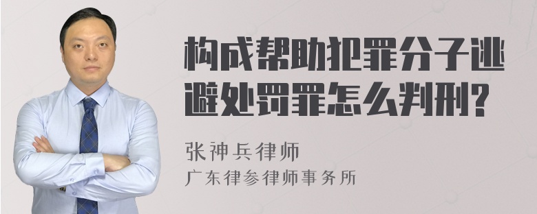 构成帮助犯罪分子逃避处罚罪怎么判刑?