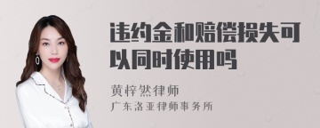 违约金和赔偿损失可以同时使用吗