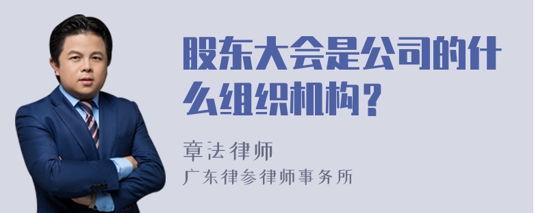 股东大会是公司的什么组织机构？