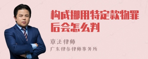 构成挪用特定款物罪后会怎么判