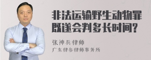 非法运输野生动物罪既遂会判多长时间?