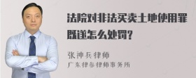 法院对非法买卖土地使用罪既遂怎么处罚?