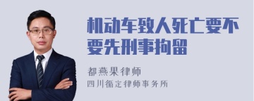 机动车致人死亡要不要先刑事拘留