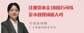 注册资本金1000万可以是小规模纳税人吗