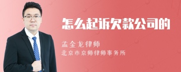 怎么起诉欠款公司的