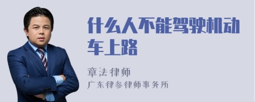 什么人不能驾驶机动车上路