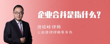 企业合并是指什么？