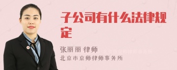 子公司有什么法律规定