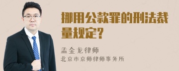 挪用公款罪的刑法裁量规定?