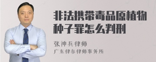 非法携带毒品原植物种子罪怎么判刑