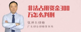 非法占用资金300万怎么判刑