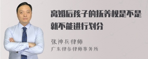 离婚后孩子的抚养权是不是就不能进行划分