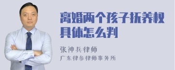 离婚两个孩子抚养权具体怎么判