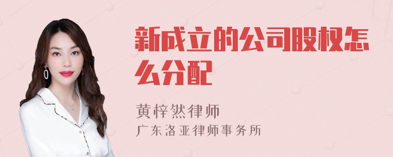 新成立的公司股权怎么分配