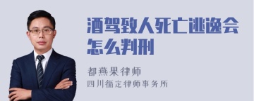 酒驾致人死亡逃逸会怎么判刑