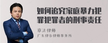 如何追究家庭暴力犯罪犯罪者的刑事责任