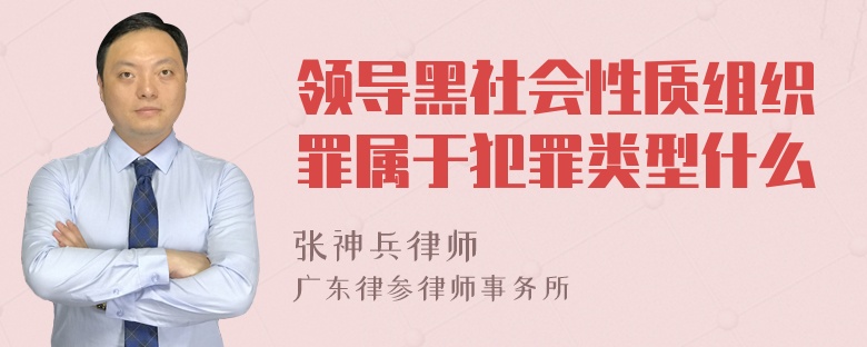 领导黑社会性质组织罪属于犯罪类型什么