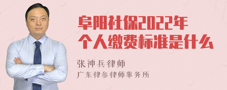 阜阳社保2022年个人缴费标准是什么