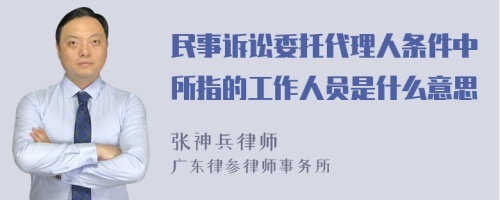 民事诉讼委托代理人条件中所指的工作人员是什么意思