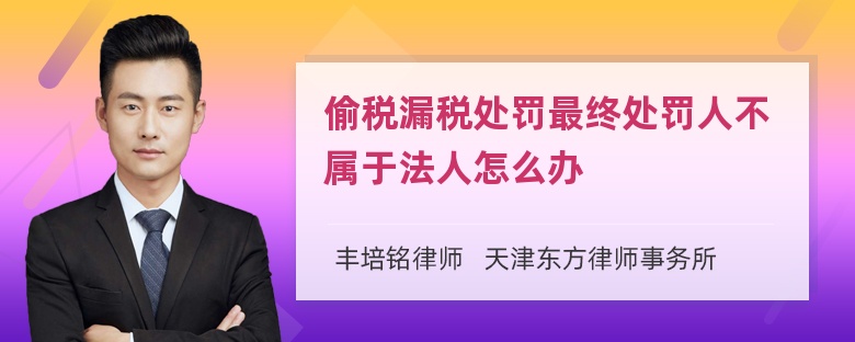 偷税漏税处罚最终处罚人不属于法人怎么办