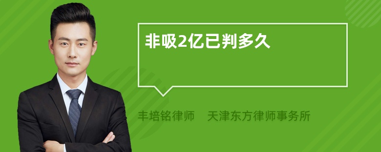 非吸2亿已判多久