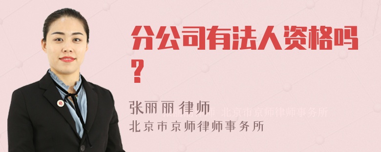 分公司有法人资格吗?