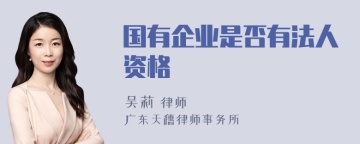 国有企业是否有法人资格