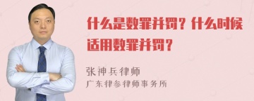 什么是数罪并罚？什么时候适用数罪并罚？