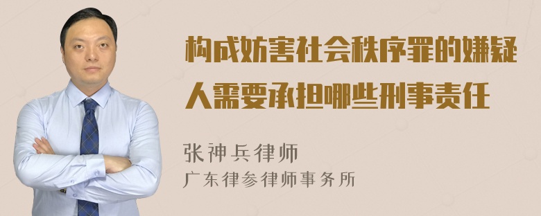 构成妨害社会秩序罪的嫌疑人需要承担哪些刑事责任