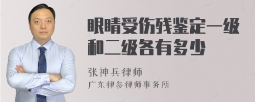 眼睛受伤残鉴定一级和二级各有多少