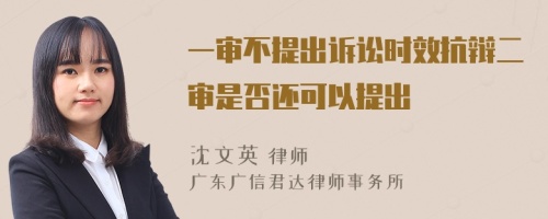 一审不提出诉讼时效抗辩二审是否还可以提出