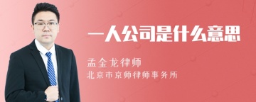 一人公司是什么意思