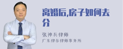 离婚后,房子如何去分