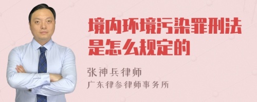 境内环境污染罪刑法是怎么规定的