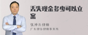 丢失现金多少可以立案