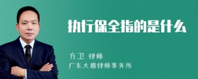 执行保全指的是什么