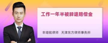 工作一年半被辞退赔偿金