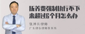 抚养费强制执行不下来超过6个月怎么办