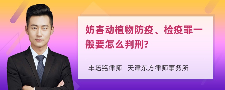 妨害动植物防疫、检疫罪一般要怎么判刑?