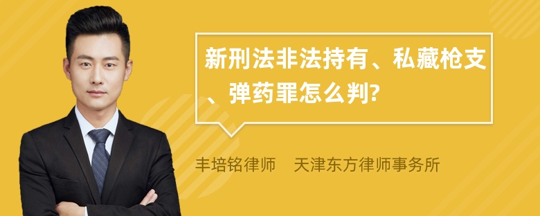 新刑法非法持有、私藏枪支、弹药罪怎么判?