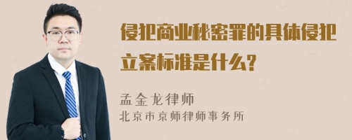 侵犯商业秘密罪的具体侵犯立案标准是什么?