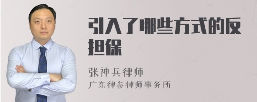 引入了哪些方式的反担保